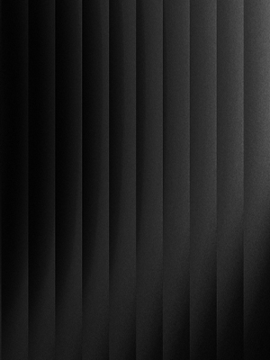 Branding + Advertising